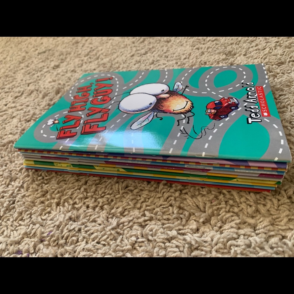 SOLD Collection of 10 Fly Guy Books, Great Condition!